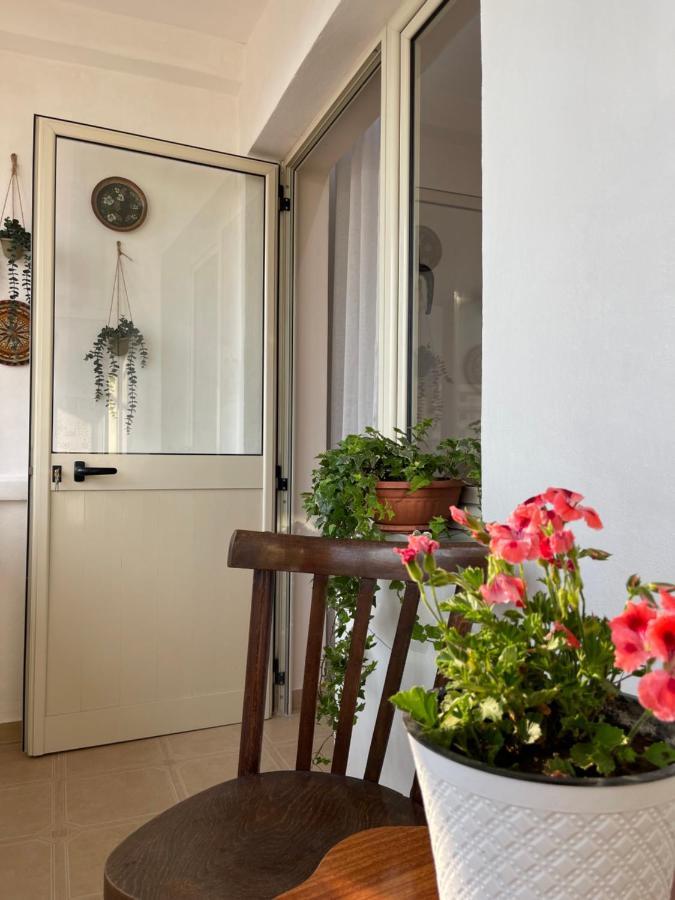 Leo'S Apartment Shkodër エクステリア 写真